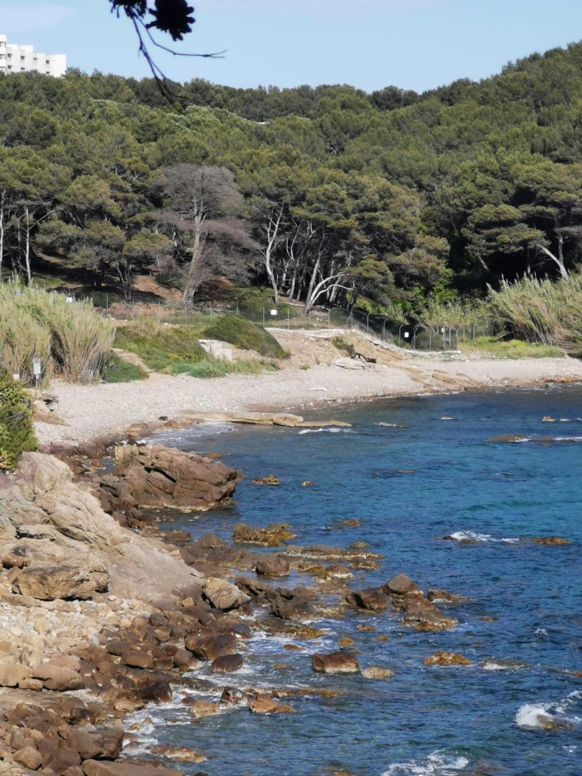 Petit Paradis - St Mandrier Village Saint-Mandrier-sur-Mer Luaran gambar