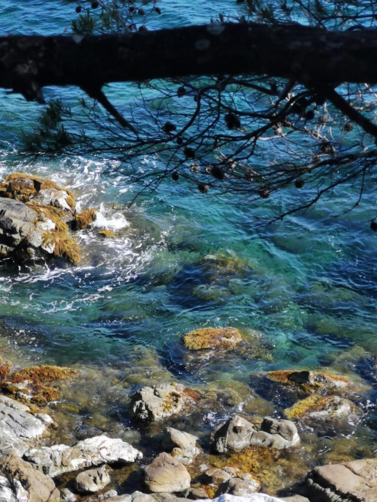Petit Paradis - St Mandrier Village Saint-Mandrier-sur-Mer Luaran gambar