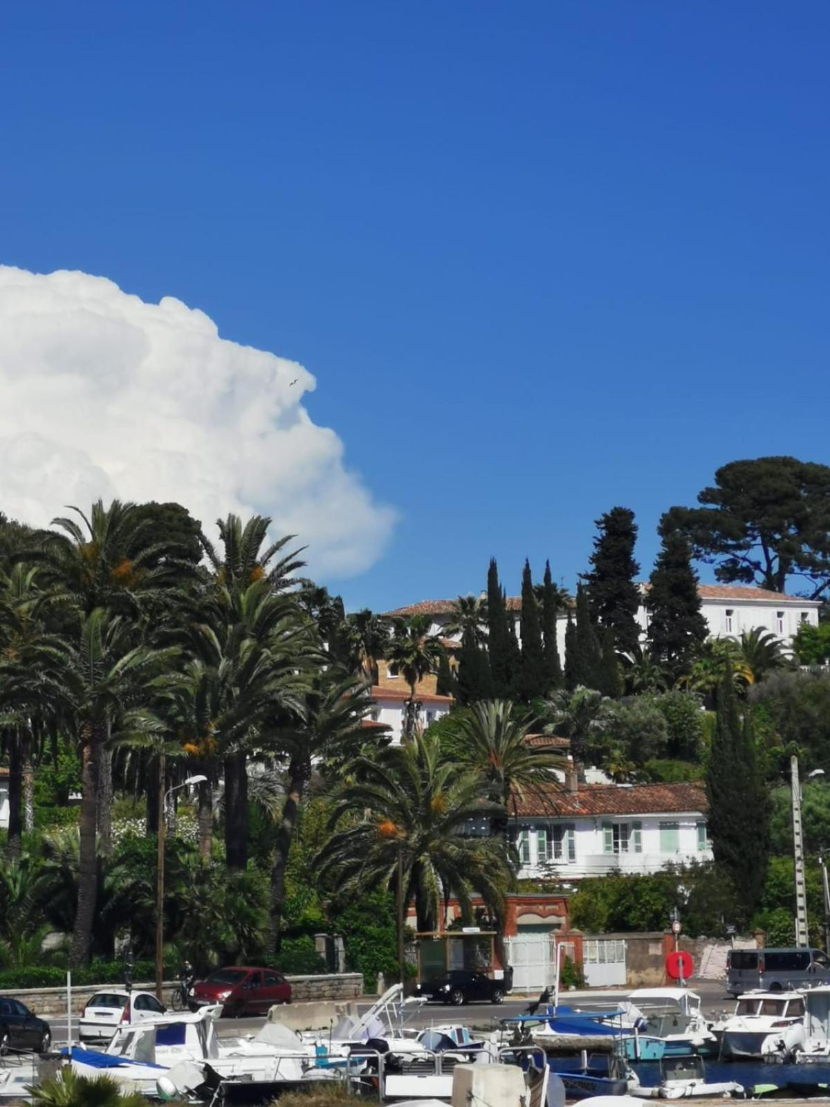 Petit Paradis - St Mandrier Village Saint-Mandrier-sur-Mer Luaran gambar